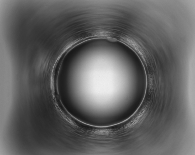 X0000096980843200802081406