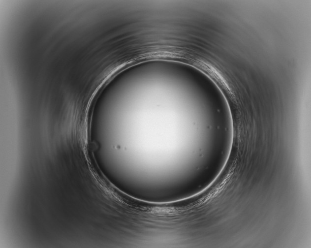 X0000096980844200802081406