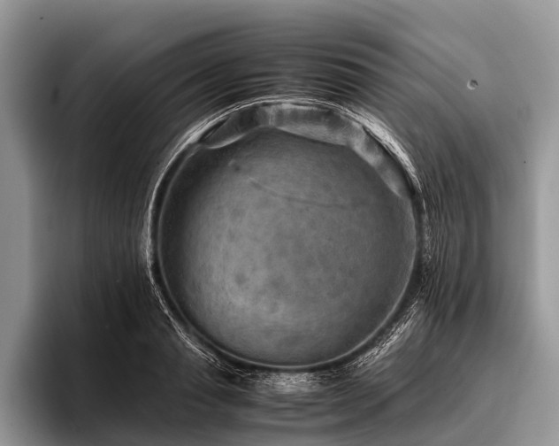 X0000096980845200802081406