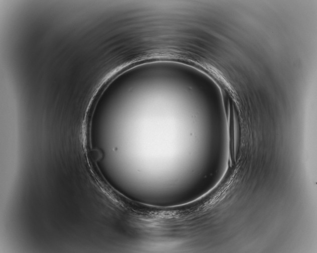 X0000096980846200802081406