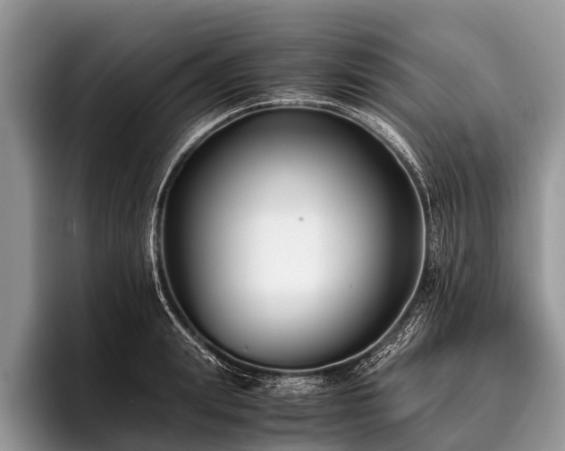 X0000096980847200802081406