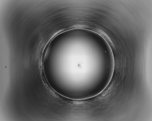 X0000096980852200802081406