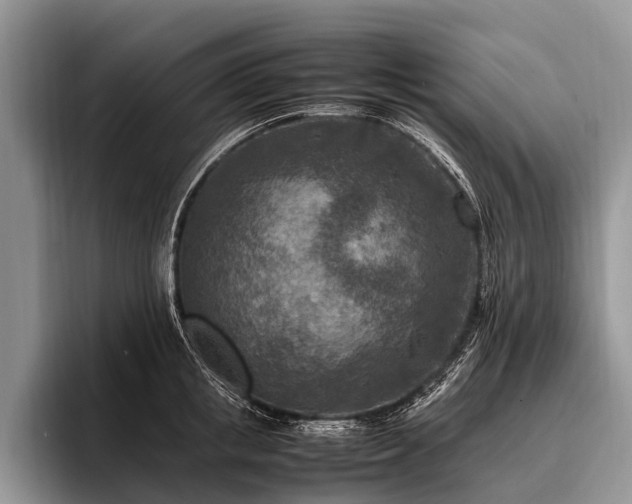 X0000096980853200802081406