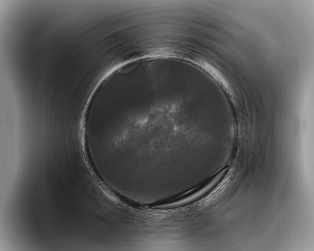 X0000096980854200802081406