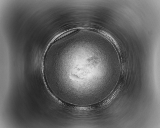 X0000096980855200802081406