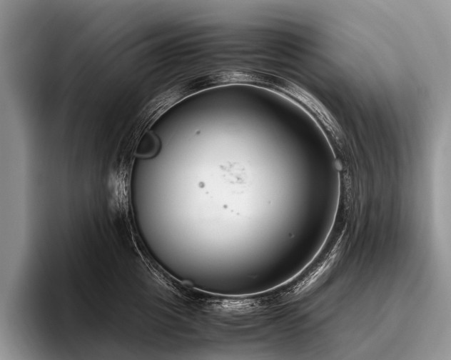 X0000096980857200802081406