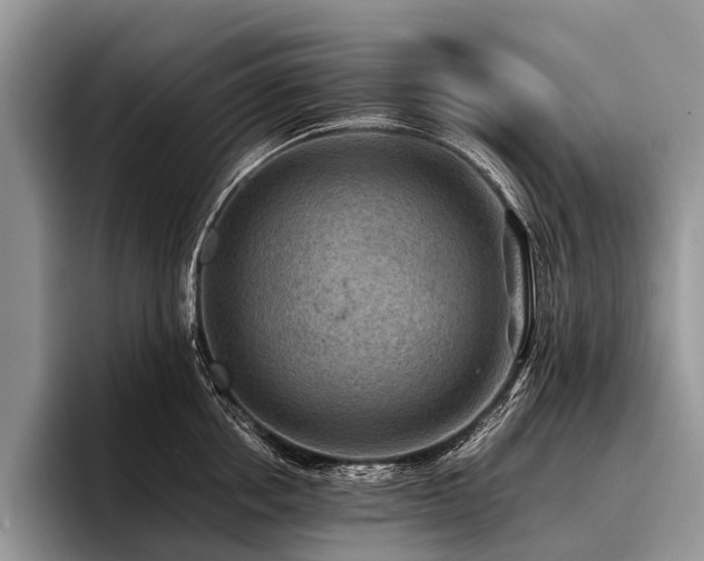 X0000096980858200802081406