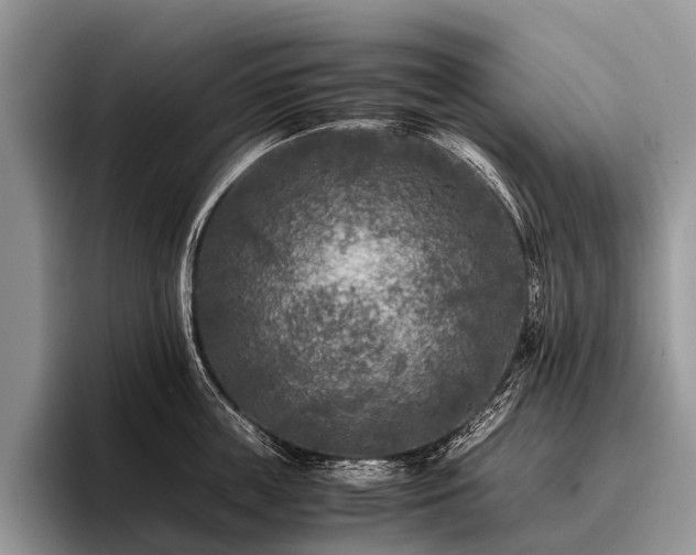 X0000096980859200802081406