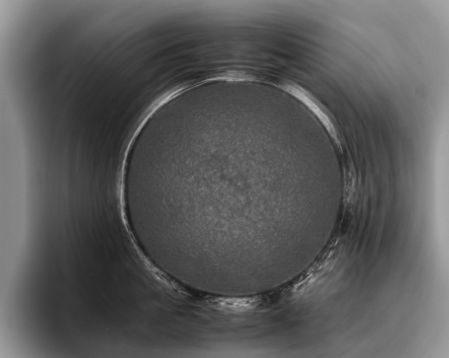 X0000096980861200802081406