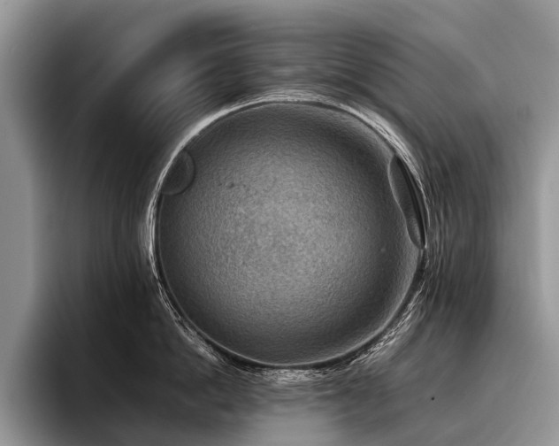 X0000096980862200802081406