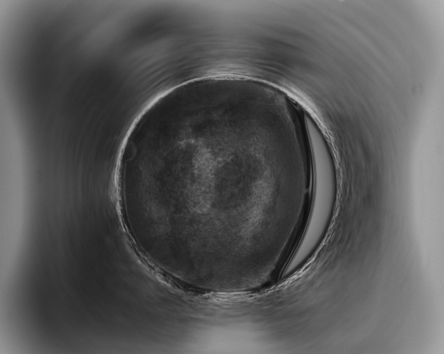 X0000096980864200802081406