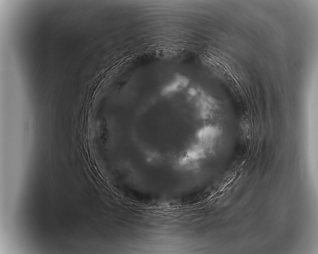 X0000096980865200802081405