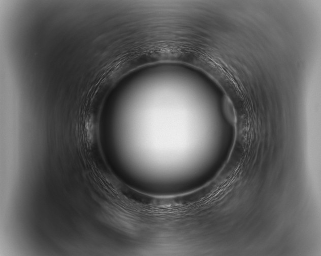 X0000096980866200802081405