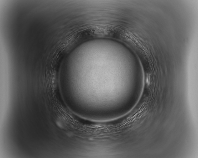 X0000096980867200802081405