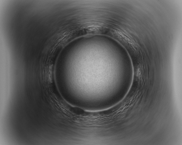 X0000096980868200802081405