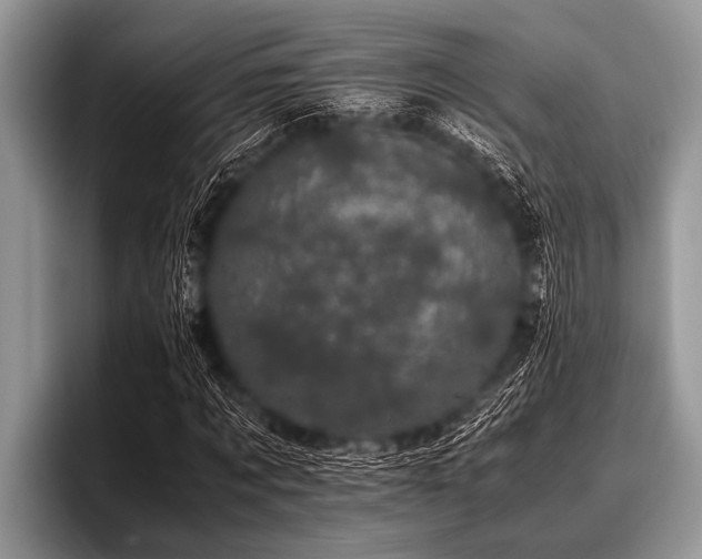 X0000096980869200802081405