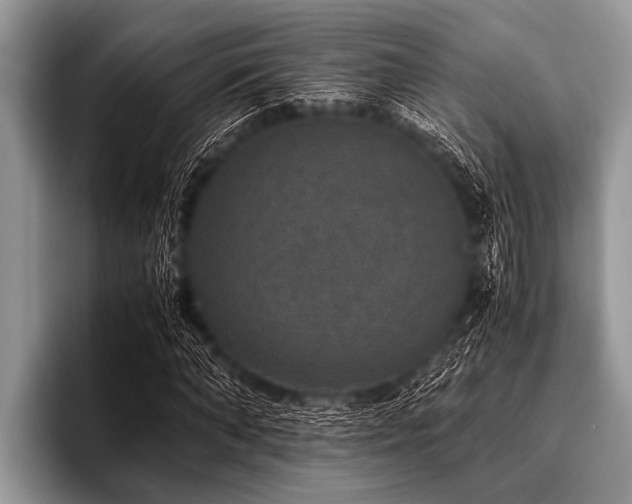 X0000096980870200802081405