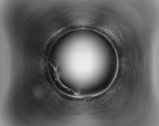 X0000096980872200802081405