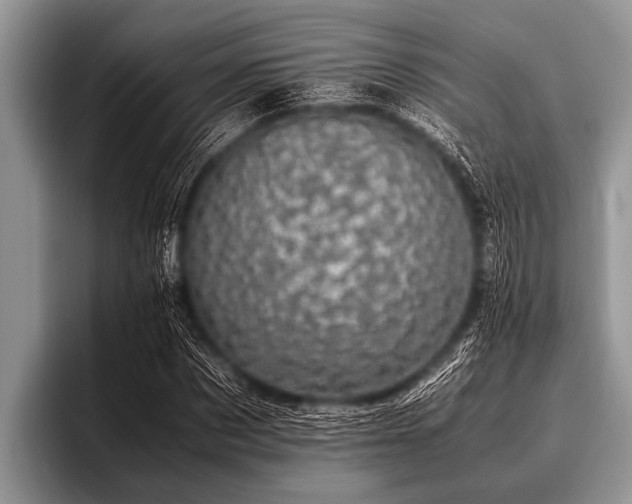 X0000096980873200802081405