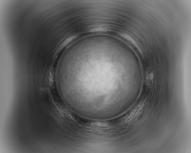 X0000096980874200802081405