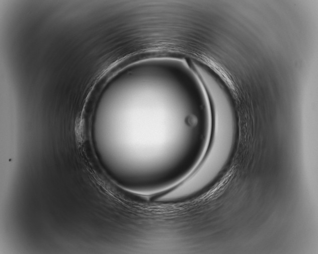 X0000096980876200802081405