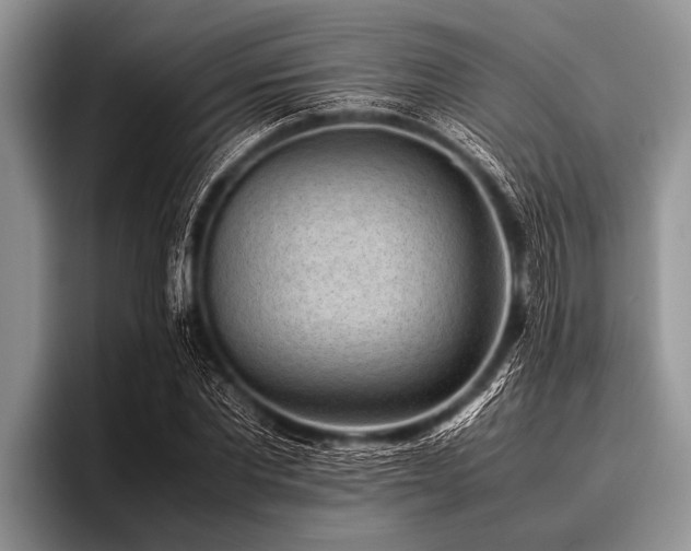 X0000096980877200802081405