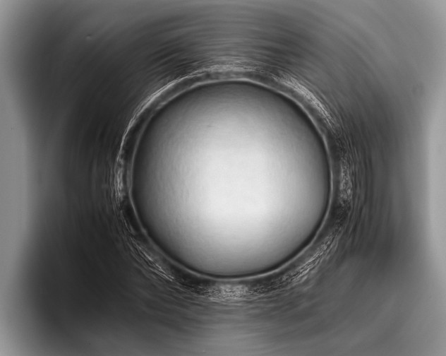 X0000096980878200802081405