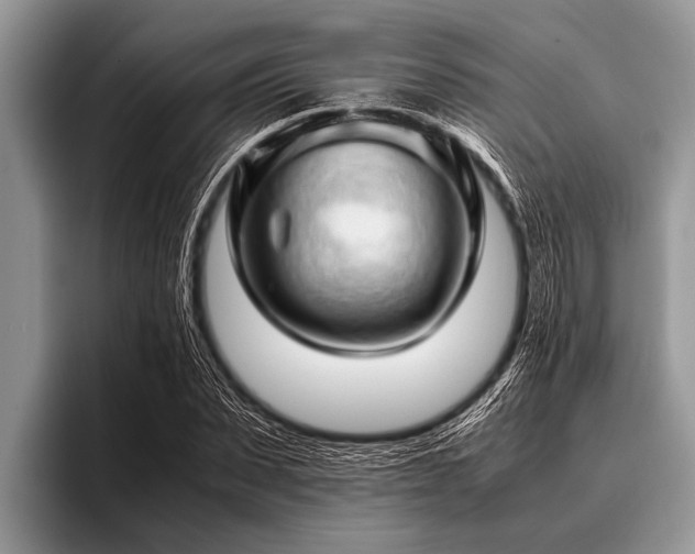 X0000096980879200802081405