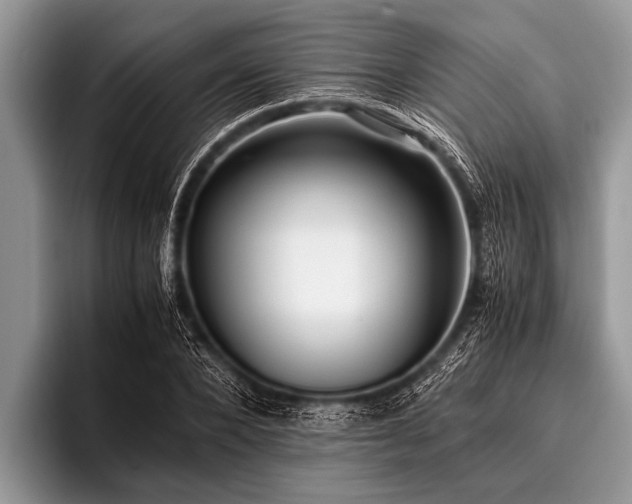 X0000096980880200802081405