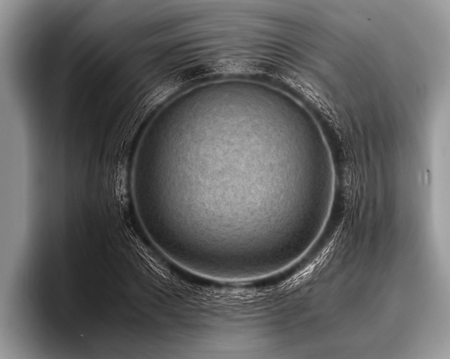 X0000096980881200802081405