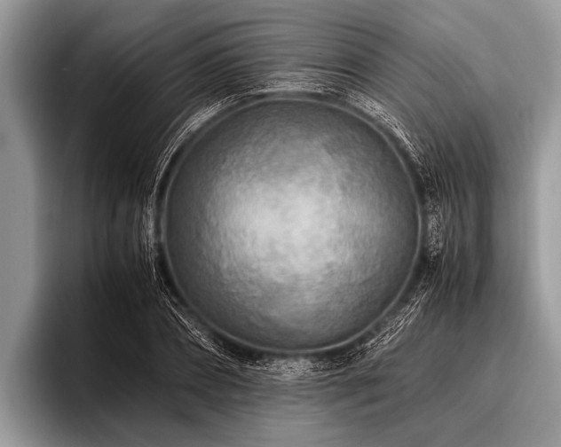 X0000096980882200802081405