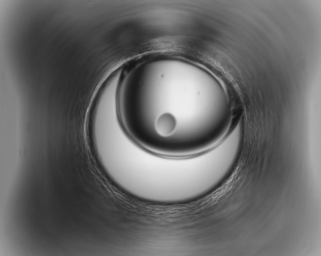 X0000096980883200802081405