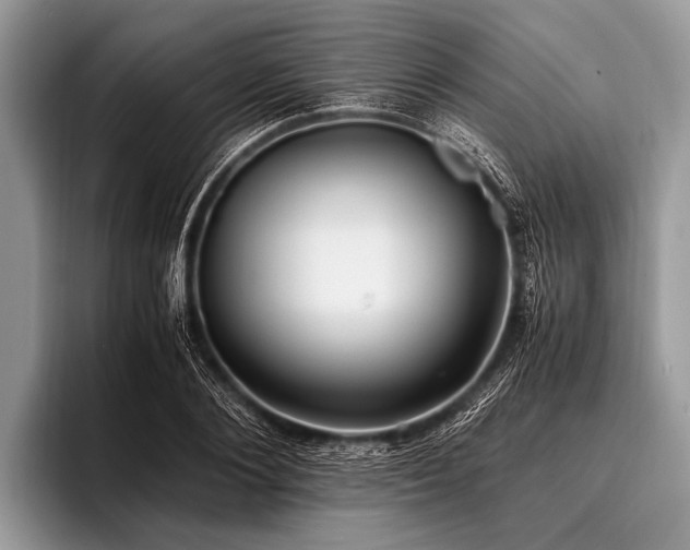 X0000096980884200802081405