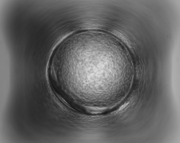 X0000096980885200802081405