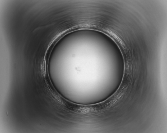 X0000096980886200802081405