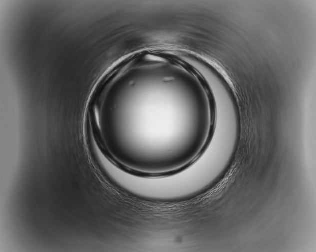 X0000096980887200802081405