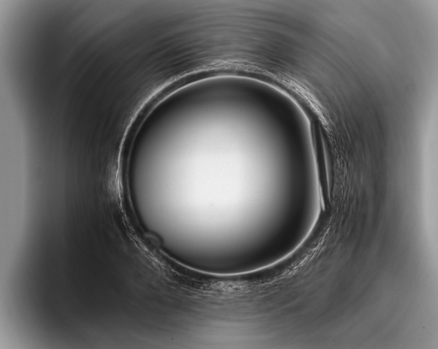 X0000096980888200802081405