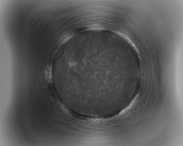 X0000096980889200802081405