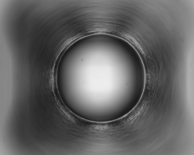 X0000096980890200802081405