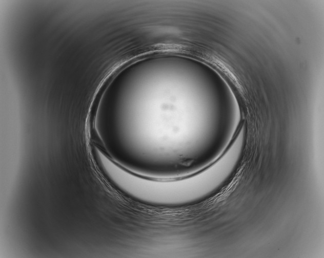 X0000096980891200802081405