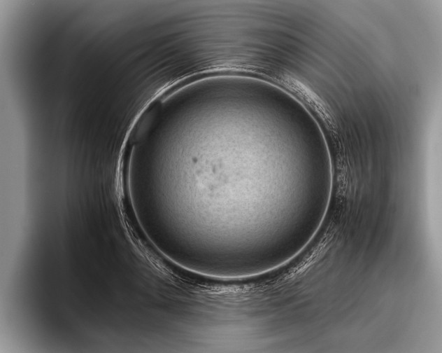 X0000096980892200802081405