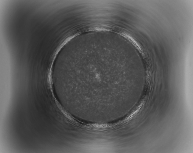 X0000096980893200802081405