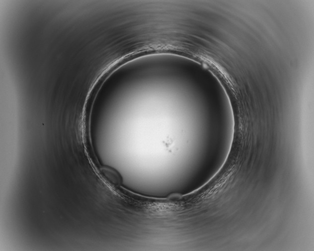 X0000096980894200802081405