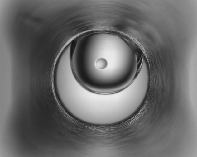 X0000096980895200802081405