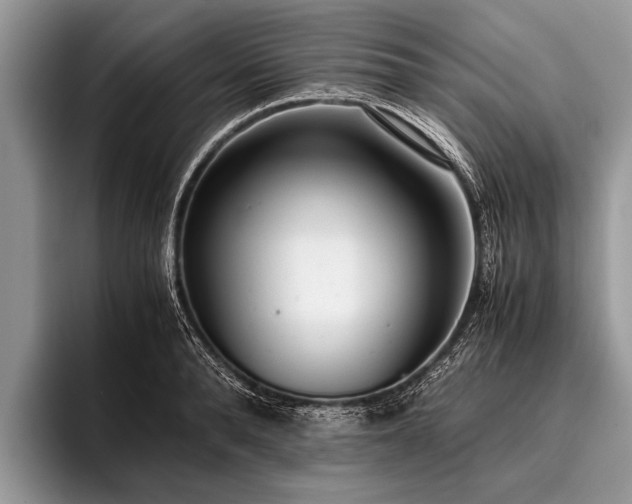 X0000096980896200802081405