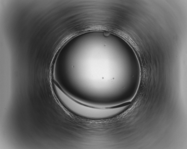 X0000096980898200802081405