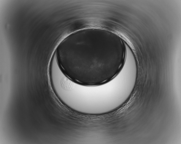 X0000096980899200802081405