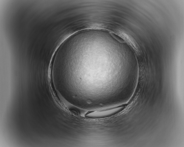 X0000096980900200802081405