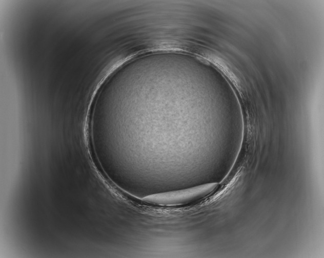 X0000096980901200802081405