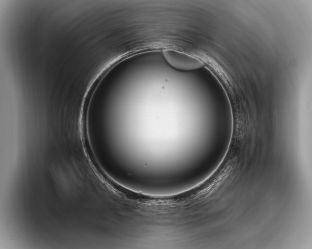 X0000096980902200802081405